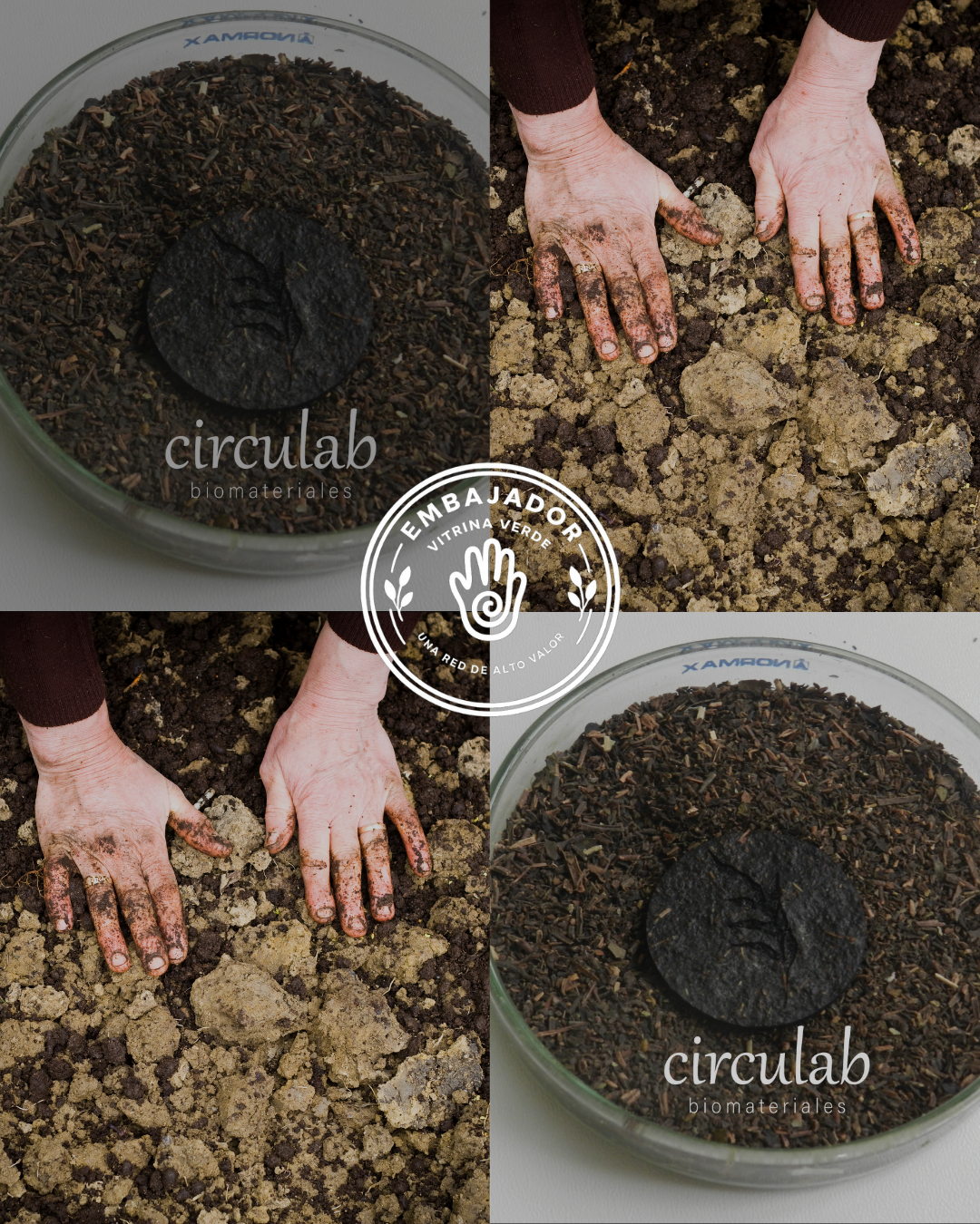 Circula.b