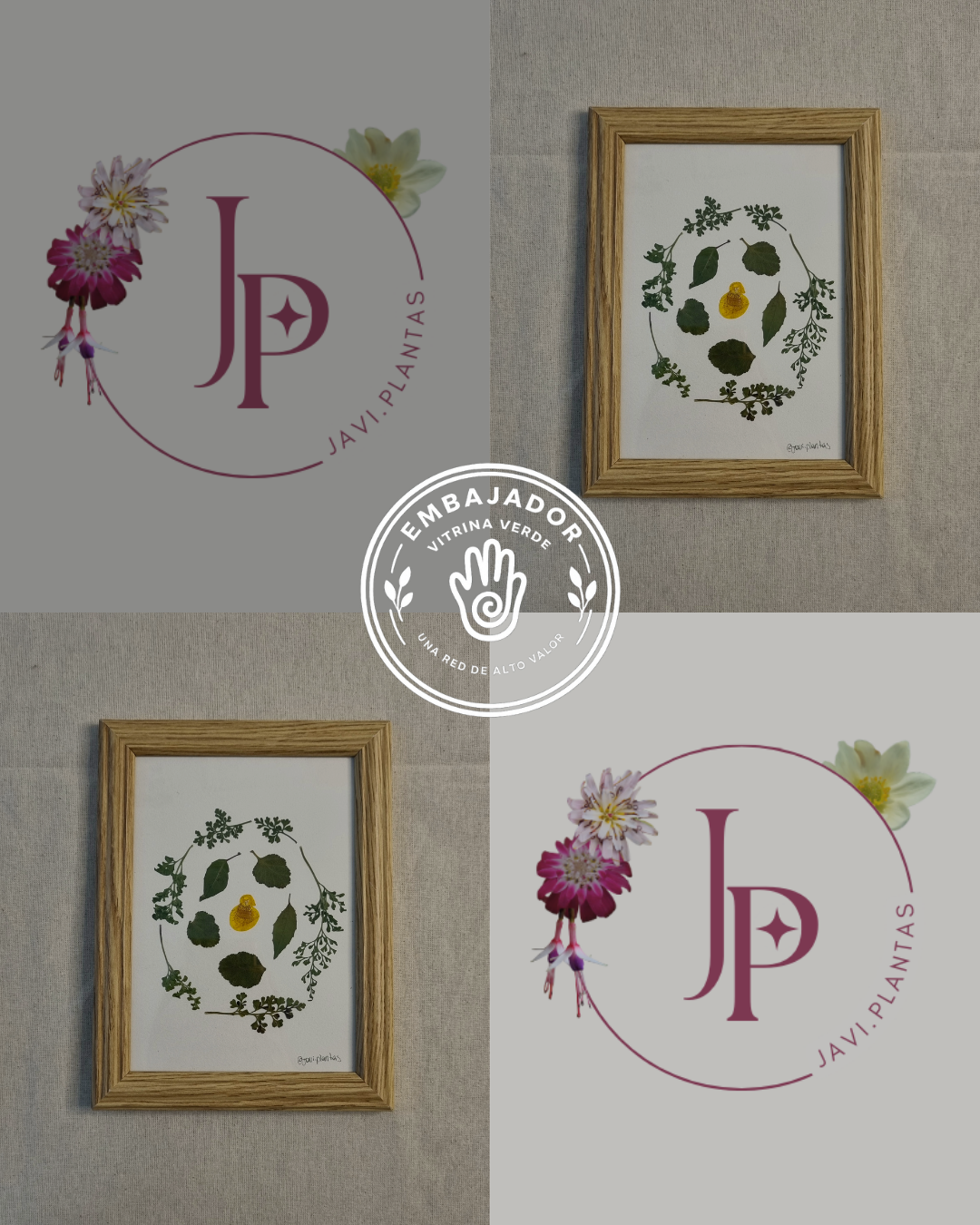 Javi Plantas