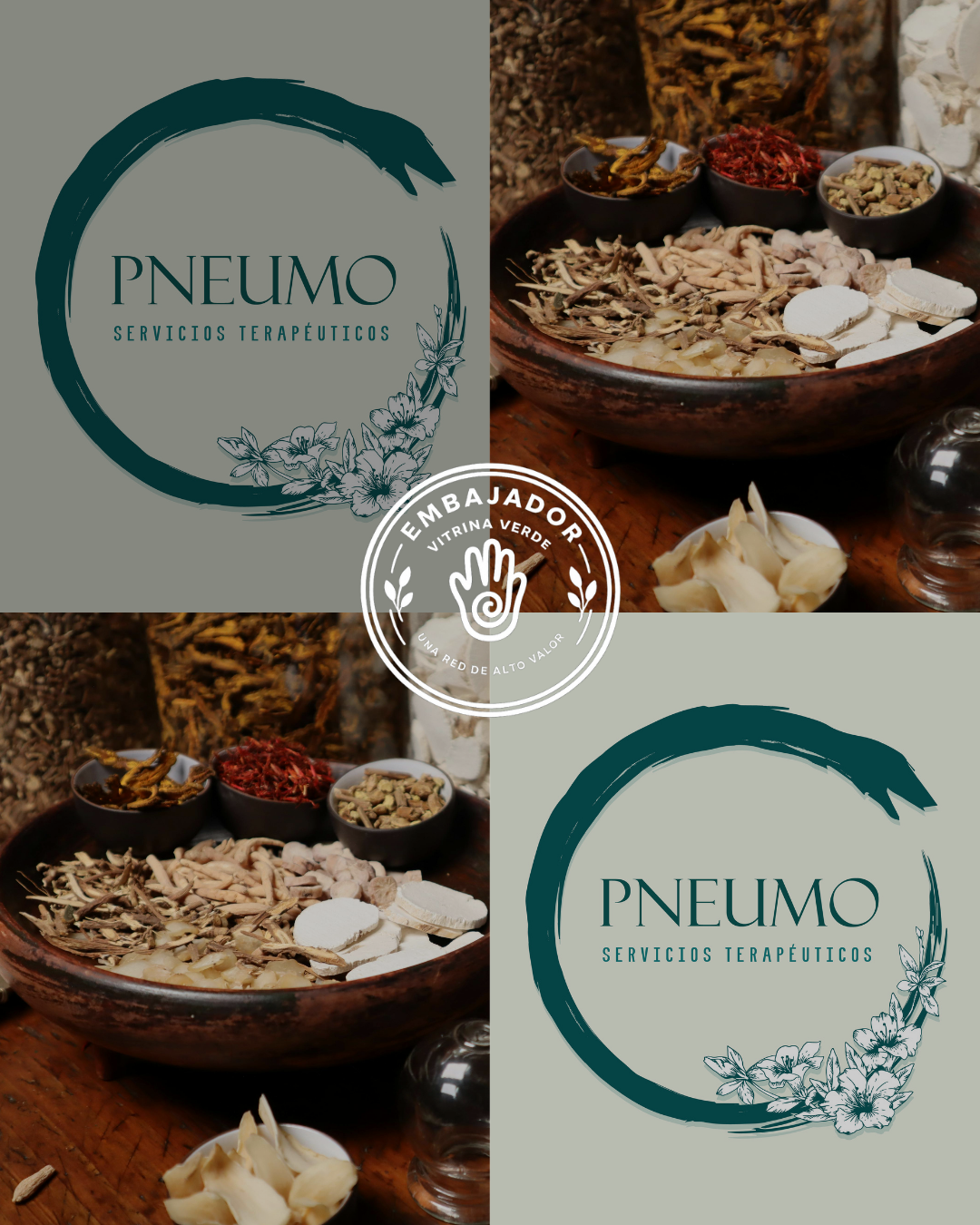 Pneumo